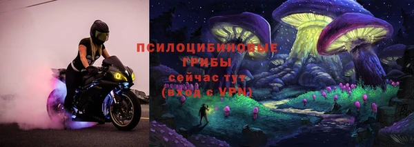 дживик Новозыбков