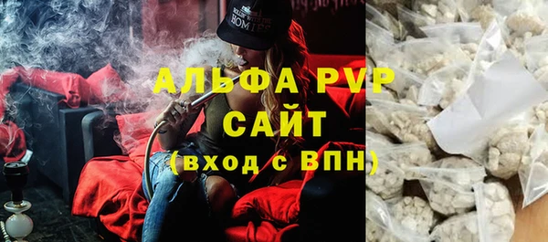 дживик Новозыбков