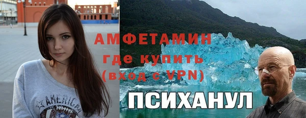шишки Билибино