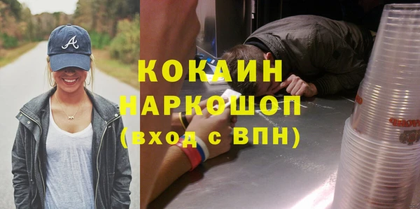 дживик Новозыбков
