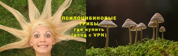 дживик Новозыбков