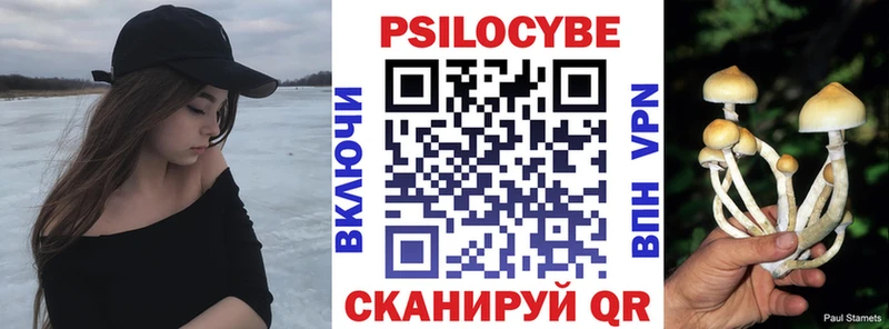 Псилоцибиновые грибы мицелий  купить   Новороссийск 