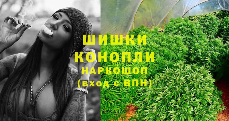 продажа наркотиков  Новороссийск  Бошки марихуана OG Kush 